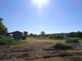 DSC00590